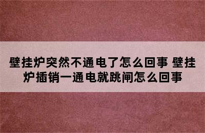 壁挂炉突然不通电了怎么回事 壁挂炉插销一通电就跳闸怎么回事